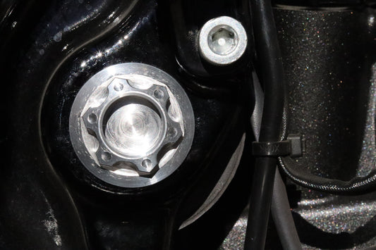 Swingarm pivot shaft cover